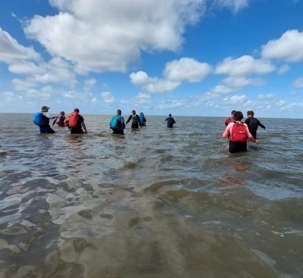 Wadlopen naar Schiermonnikoog